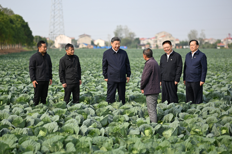 QM球盟会·(中国)-官方网站