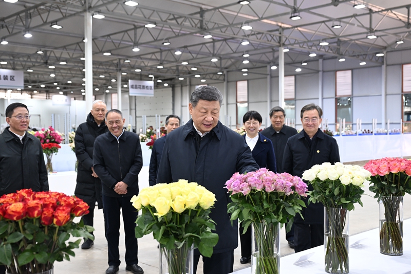 QM球盟会·(中国)-官方网站