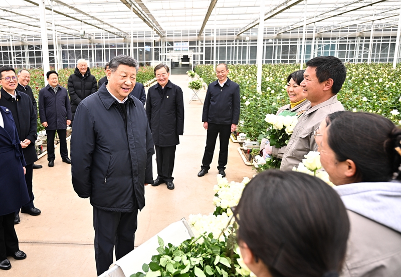 QM球盟会·(中国)-官方网站